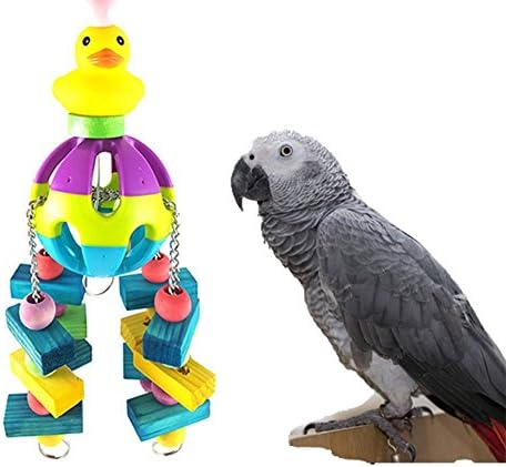 Hyetey Bird Chering Toy Toy Coage אביזרים תלויים בבלפול ציפור צעצוע תוכי אפריקני אפריקני אפור מקווט קוקטייל